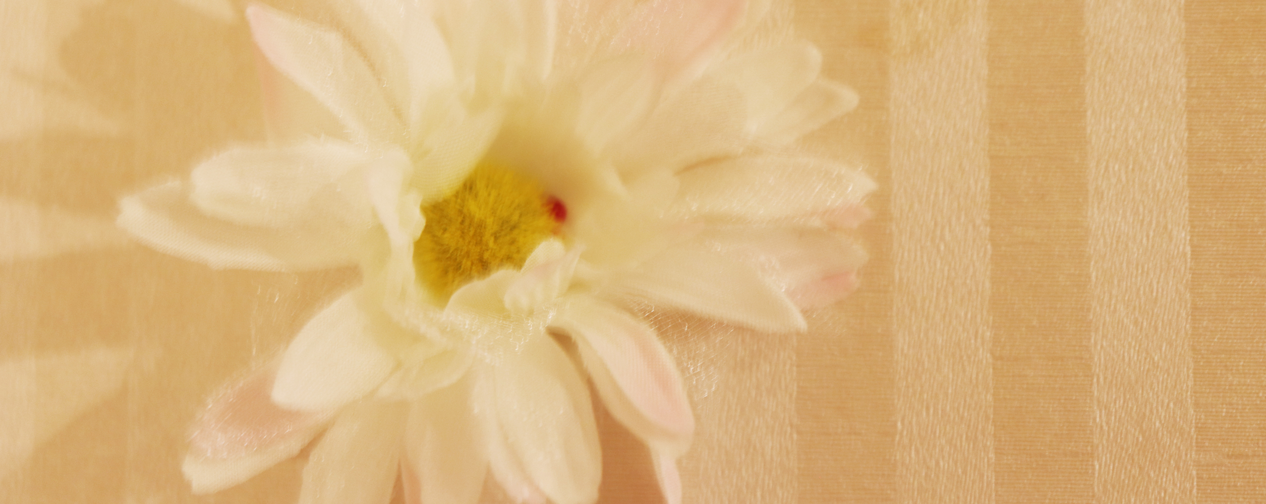 7丁目のママ Powder Room の写真3